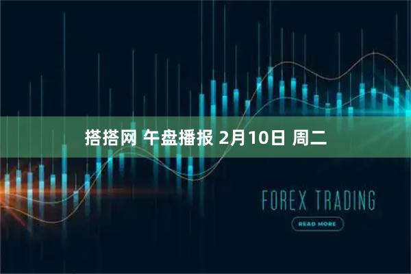 搭搭网 午盘播报 2月10日 周二