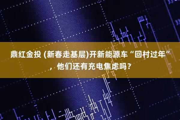 鼎红金投 (新春走基层)开新能源车“回村过年”，他们还有充电焦虑吗？