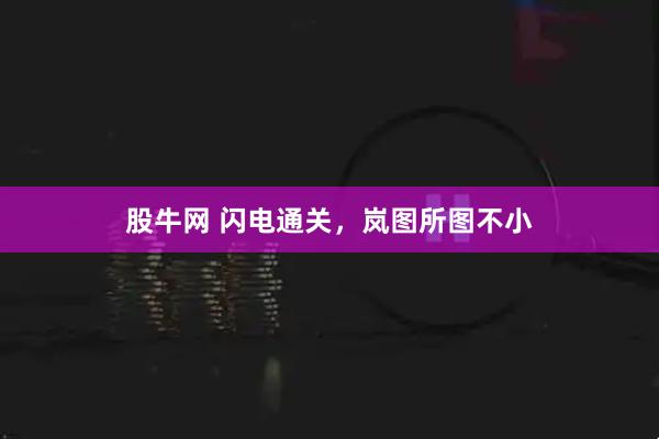股牛网 闪电通关，岚图所图不小