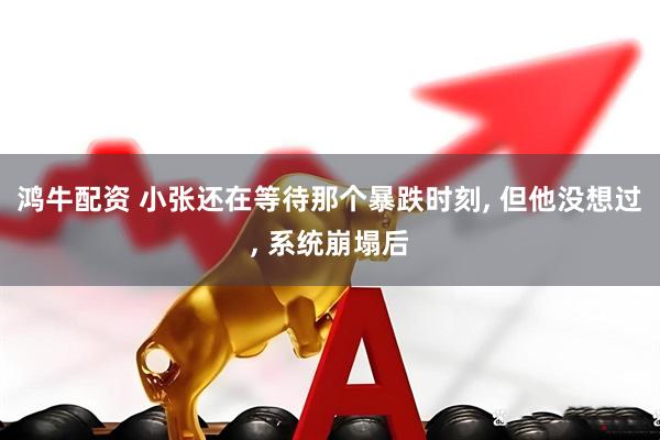 鸿牛配资 小张还在等待那个暴跌时刻, 但他没想过, 系统崩塌后