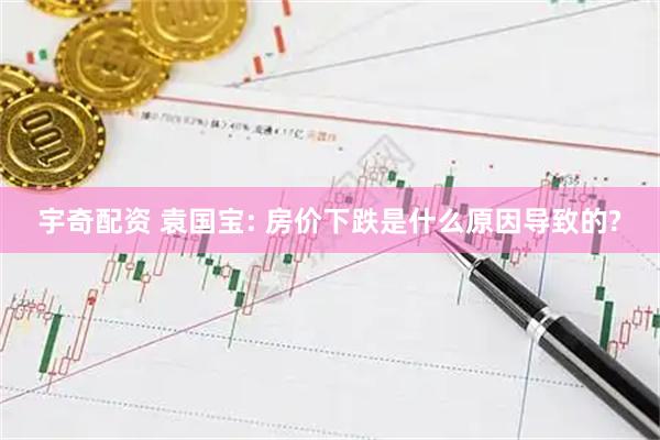 宇奇配资 袁国宝: 房价下跌是什么原因导致的?